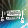 Ukulele Orchestra - A Little Bit Wonderful EP