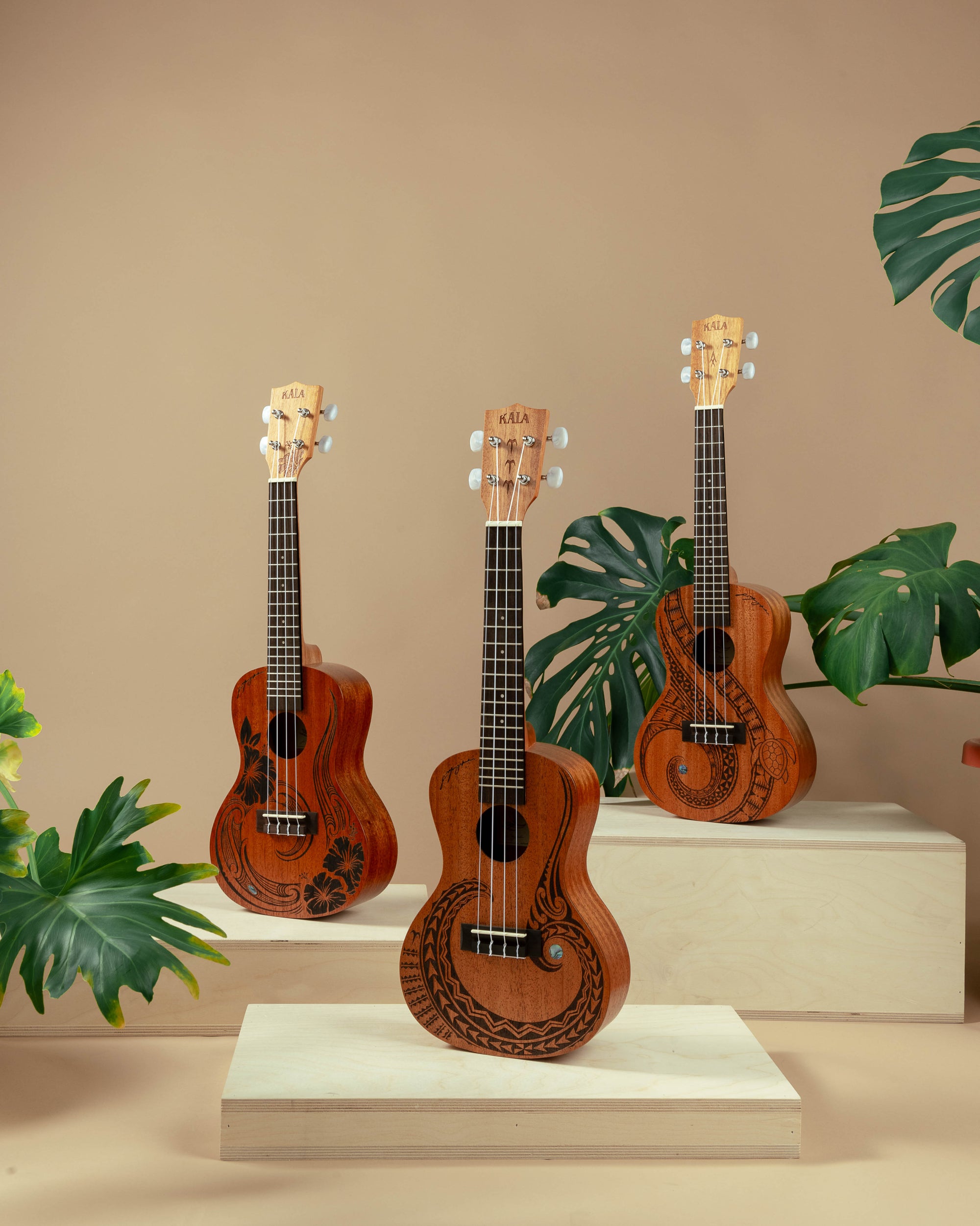 Kala Voyage Collection Ukulele (Unity)