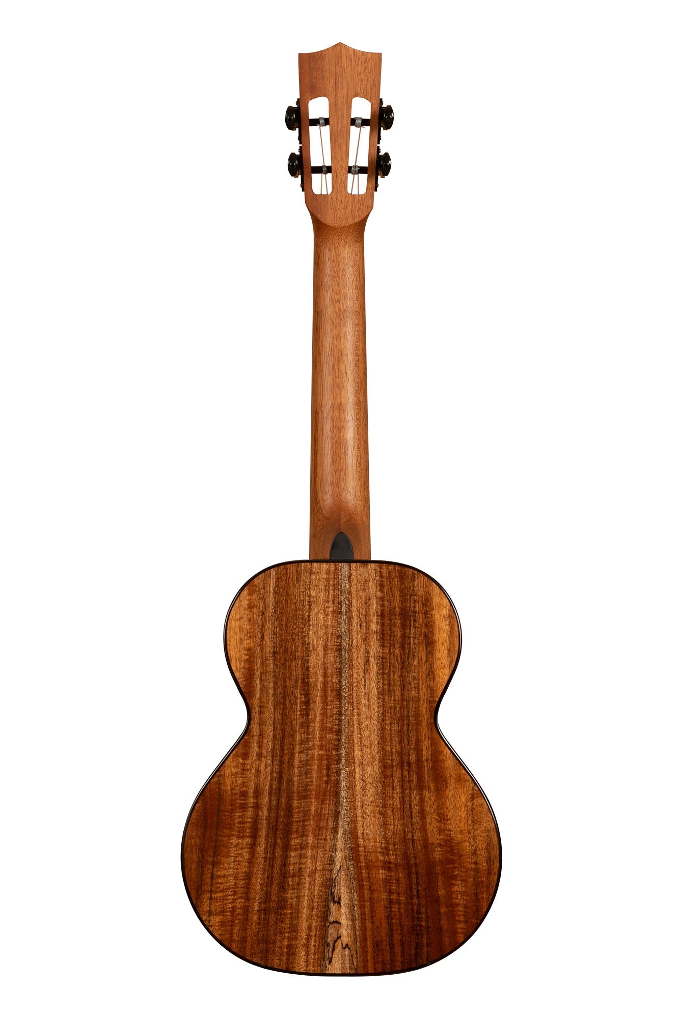 Kala Contour All Solid Gloss Acacia Tenor Ukulele (KA-CT-SA-TG)