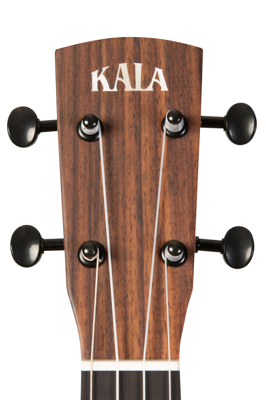 Kala Revelator® Night Owl Acacia Tenor Ukulele with pickup (KA-OWL-ACA-TE)