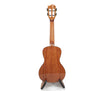 Kai Solid Cedar Top Squirrel Concert Ukulele (KCI-SQ)