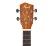 Kai Solid Mahogany Top Pineapple Concert Ukulele (KCI-ST)