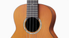 aNueNue Hawaiian Dream (4-Series) Solid Cedar Top Ukulele