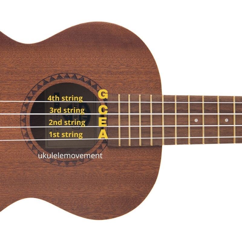 What are the Strings on a Ukulele