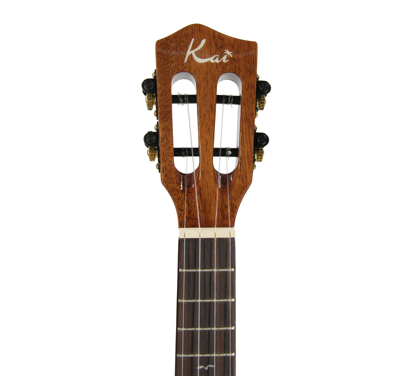 Kai Solid Spruce Top Concert Ukulele (KCI-100SG)