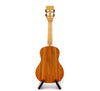 Muse Solid Spruce / Acacia Concert (MU-SAG-C/B) -Blemished