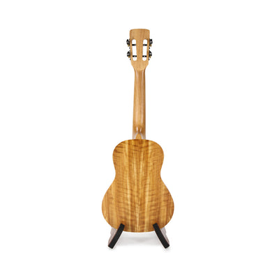 Muse Solid Spruce / Acacia Concert (MU-SAG-C/B) -Blemished